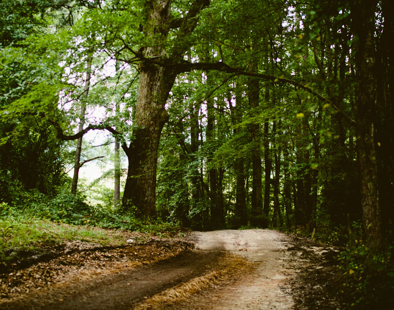 DDOS在线压力测试